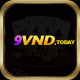 9vndtoday's avatar