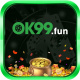 ok99fun's avatar