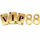 vip88's avatar