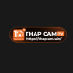 thapcamwin's avatar