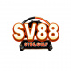 sv88golf's avatar