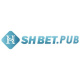 shbetpub's avatar