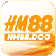 hm88dog's avatar