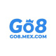 go8mexcom's avatar