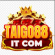 Tai go88 it com's avatar