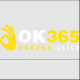 okk365click's avatar