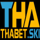 Thabet ski's avatar