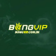 bongvipcomim's avatar