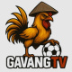 gavangtvvad's avatar