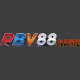 pbv88name1's avatar