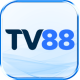 apptv88com's avatar