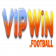 Vipwinfootball1vn's avatar