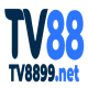 Tv8899net's avatar