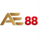 ae88vkzinnet's avatar