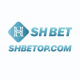 shbetopcom's avatar