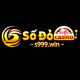 s999win's avatar