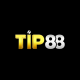 tip88design's avatar