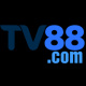 tv88rucom1's avatar