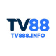 tv888info's avatar