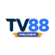 tv88london's avatar
