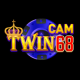 twin68cam2's avatar