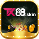 tx88skin's avatar