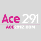 ace291zcom's avatar