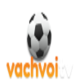vachvoi1's avatar