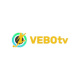 vebottbdshop's avatar
