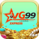 vg99express's avatar