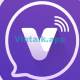 Vintalkapp's avatar