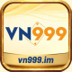 vn999im's avatar