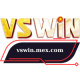 vswinmexcom's avatar