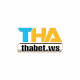 thabetws's avatar