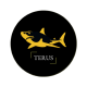 Terus Technology's avatar