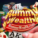 rummywealth1's avatar