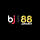 bj88cricket's avatar