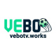 vebotvworks's avatar