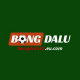 ttbongdalu23eu's avatar