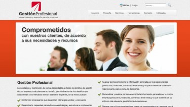 gestion profesional