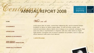 New Zealand Institute of Chartered Accountants - A