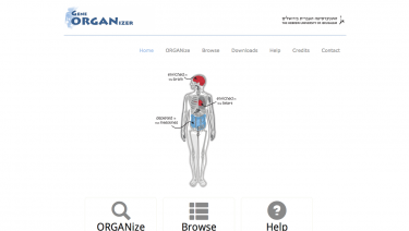 Gene ORGANizer