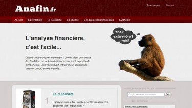 Anafin.fr, l'analyse financière facile