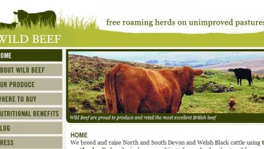 Wild Beef