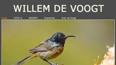 Willem de Voogt