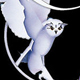 darkowl's avatar