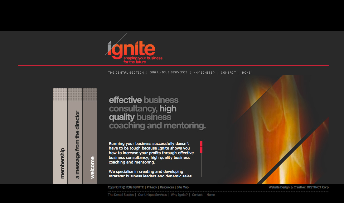 Ignite Business Growth (QL Marketing)