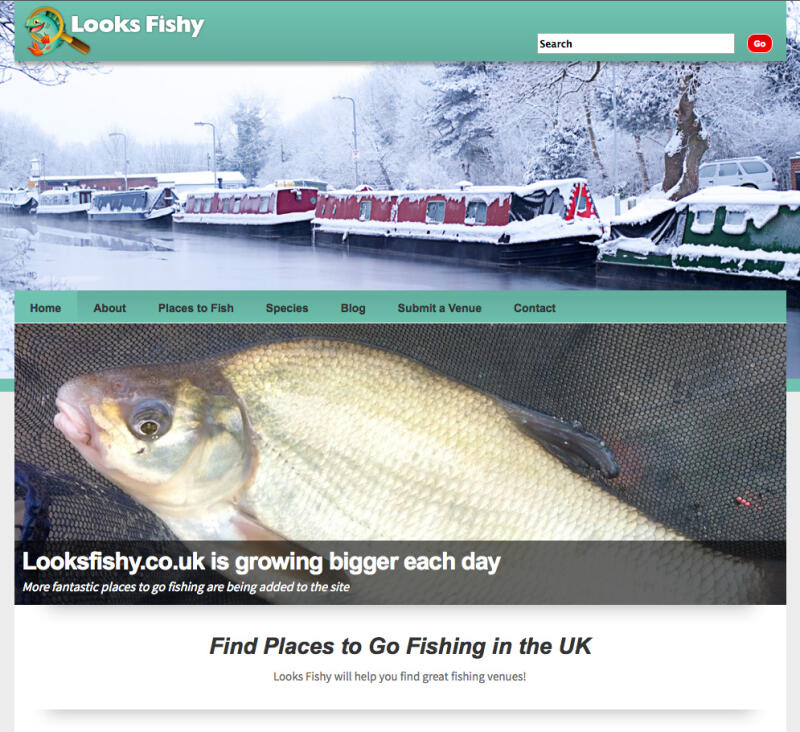 Looks Fishy (edwardlewis)