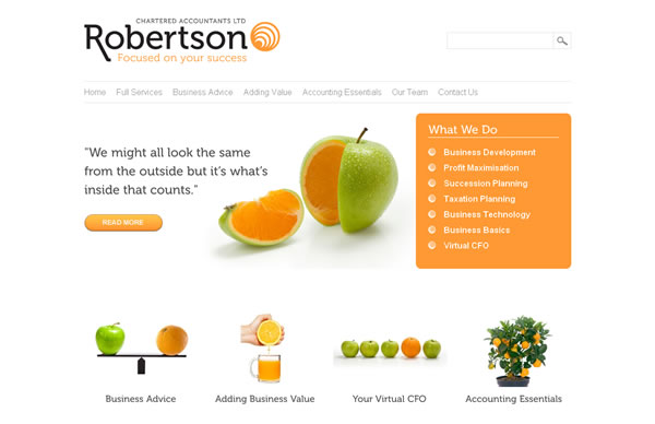 Robertson Chartered Accountants, Nelson, Wellingto (webtonic)