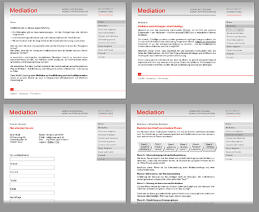 Saner Mindt Consulting